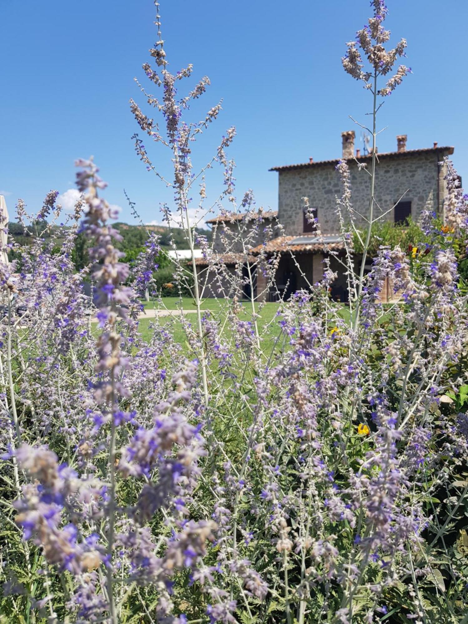 Agriturismo Villa Al Piano Todi Exterior photo